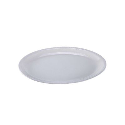 Oval Shaped Fish Serving Plate Polished Fish Serving Platter Ceramic